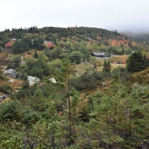samotnia-karpacz-fot-ewa-jakubowska131