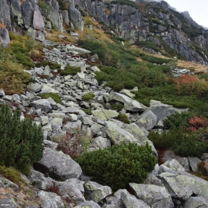 samotnia-karpacz-fot-ewa-jakubowska137