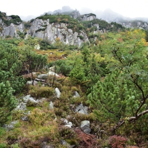 samotnia-karpacz-fot-ewa-jakubowska147