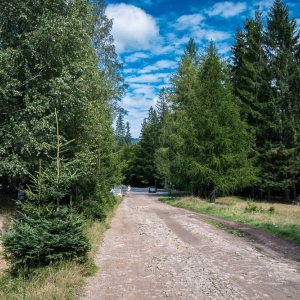 szrenica01