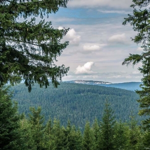szrenica16