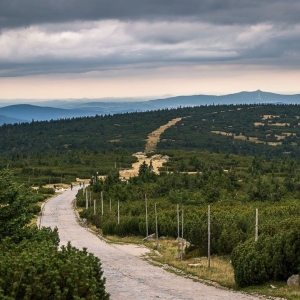 szrenica38