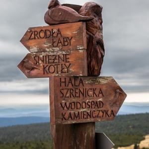 szrenica49
