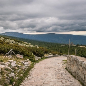 szrenica50
