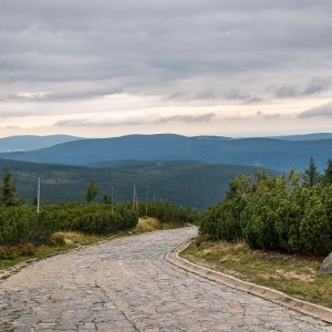 szrenica51