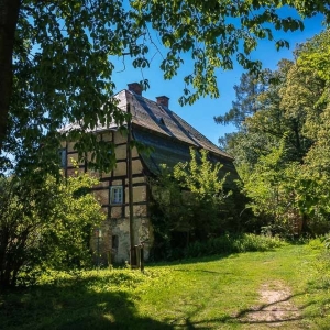 zamek-owiesno27