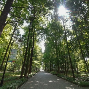 kudowa-zdroj-i-jej-atrakcje-fot-bslepecka_064