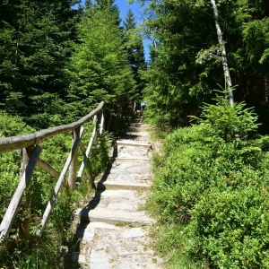 schronisko-jelenka-fot-ewa-jakubowska15