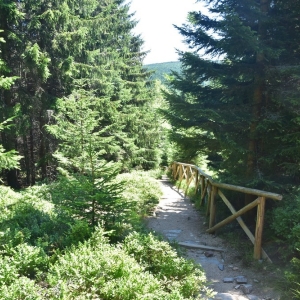 schronisko-jelenka-fot-ewa-jakubowska17