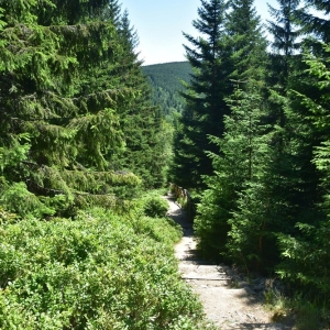 schronisko-jelenka-fot-ewa-jakubowska18