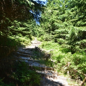 schronisko-jelenka-fot-ewa-jakubowska20
