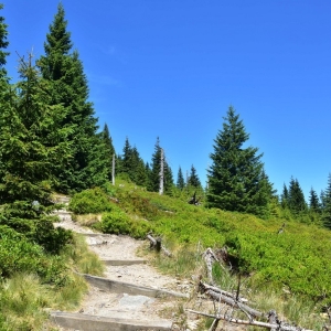 schronisko-jelenka-fot-ewa-jakubowska21