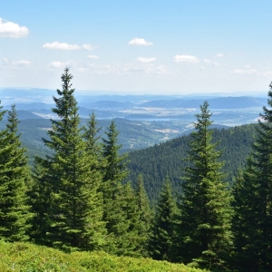 schronisko-jelenka-fot-ewa-jakubowska22