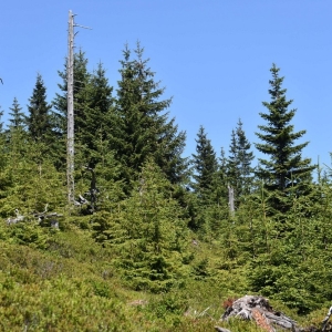 schronisko-jelenka-fot-ewa-jakubowska26