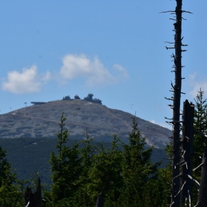 schronisko-jelenka-fot-ewa-jakubowska35