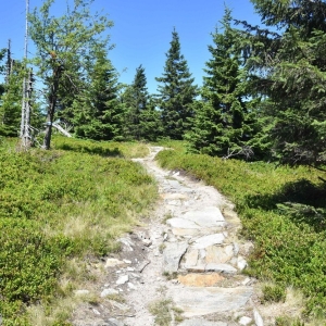 schronisko-jelenka-fot-ewa-jakubowska37