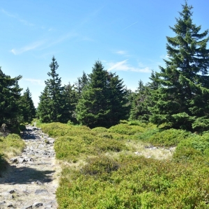 schronisko-jelenka-fot-ewa-jakubowska41