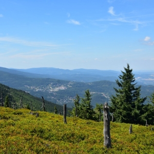 schronisko-jelenka-fot-ewa-jakubowska43
