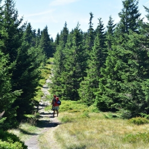 schronisko-jelenka-fot-ewa-jakubowska48