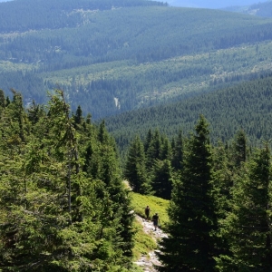 schronisko-jelenka-fot-ewa-jakubowska60