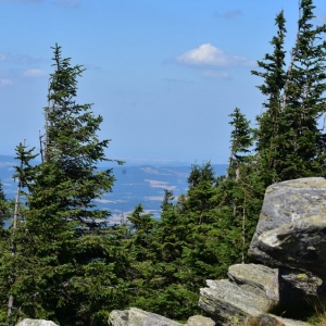 schronisko-jelenka-fot-ewa-jakubowska61