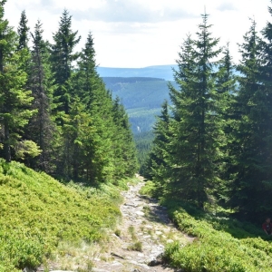 schronisko-jelenka-fot-ewa-jakubowska64