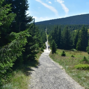 schronisko-jelenka-fot-ewa-jakubowska71