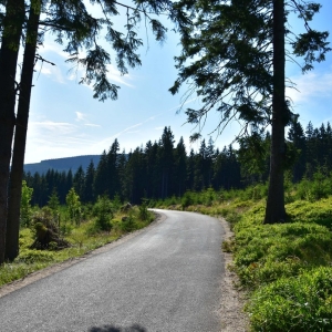 schronisko-jelenka-fot-ewa-jakubowska91