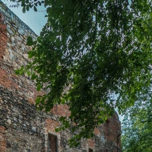 Zamek-w-Zabkowicach-Slaskich39
