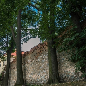 Zamek-w-Zabkowicach-Slaskich40