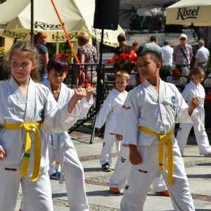 piknik-zolnierski-fot-zjak080
