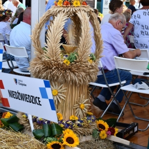 dozynki-gmina-chojnow-fot-zjak044