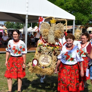 dozynki-gmina-chojnow-fot-zjak189