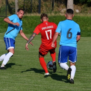 koskowice-grebocice-fot-ewajak089