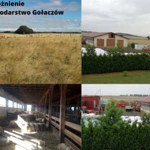 wyroznione-gospodarstwa09