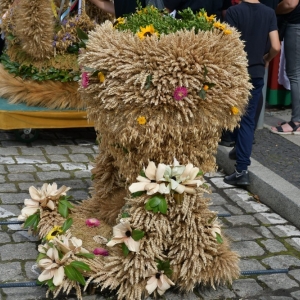 dozynki-gmina-rudna-fot-zbigniew-jakubowski013