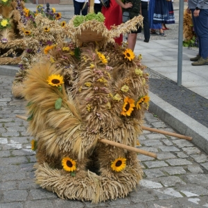 dozynki-gmina-rudna-fot-zbigniew-jakubowski017