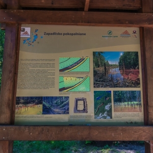 luk-muzakowa-fot-ewajak13