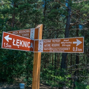luk-muzakowa-fot-ewajak15