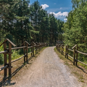 luk-muzakowa-fot-ewajak16