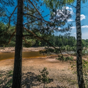 luk-muzakowa-fot-ewajak17