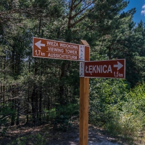 luk-muzakowa-fot-ewajak19