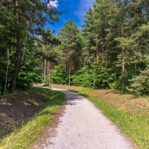 luk-muzakowa-fot-ewajak41
