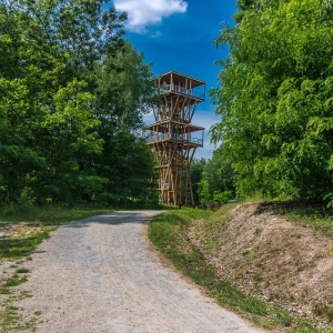 luk-muzakowa-fot-ewajak42