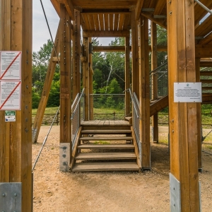 luk-muzakowa-fot-ewajak49