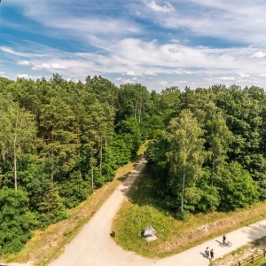 luk-muzakowa-fot-ewajak55