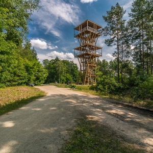 luk-muzakowa-fot-ewajak73