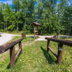 luk-muzakowa-fot-ewajak75