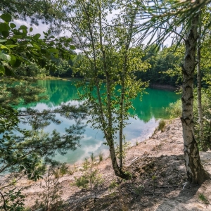 luk-muzakowa-fot-ewajak77