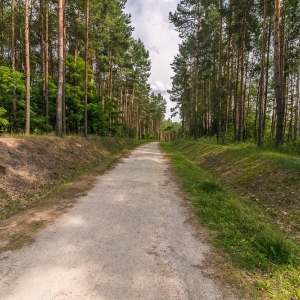 luk-muzakowa-fot-ewajak88